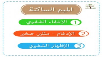 أحكام الميم الساكنة