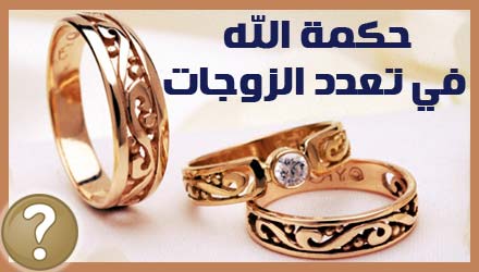تعدد الزوجات