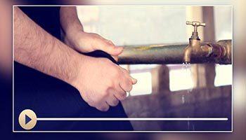 Пасхӯрдаҳо 