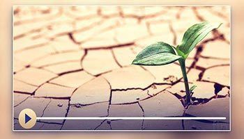 بارش طلب کرنے والی نماز