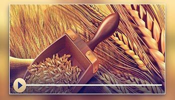 大地出产物的课额 