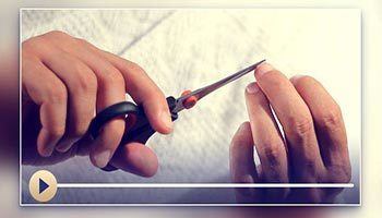 副朝的要素、当然义务及圣行 