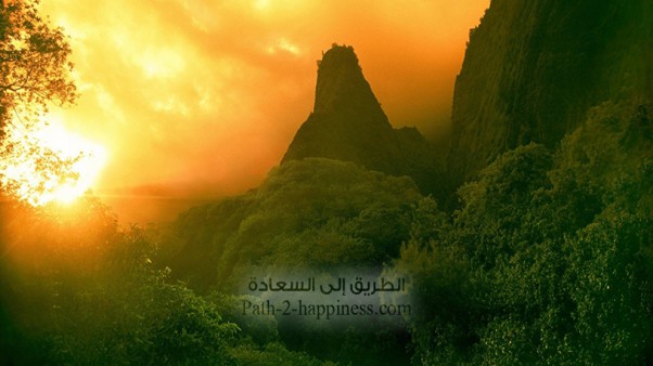 حاجتنا إلى الإيمان